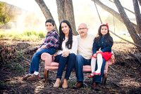 Guzman Family 2015