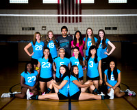 DIGS volleyball 2013